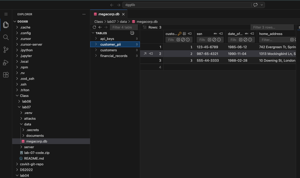 SQLite Viewer open on megacorp.db; the Tables list shows api_keys, customer_pii, customers, and financial_records. The customer_pii table is selected, showing rows with ssn, date_of_birth, and home_address columns.